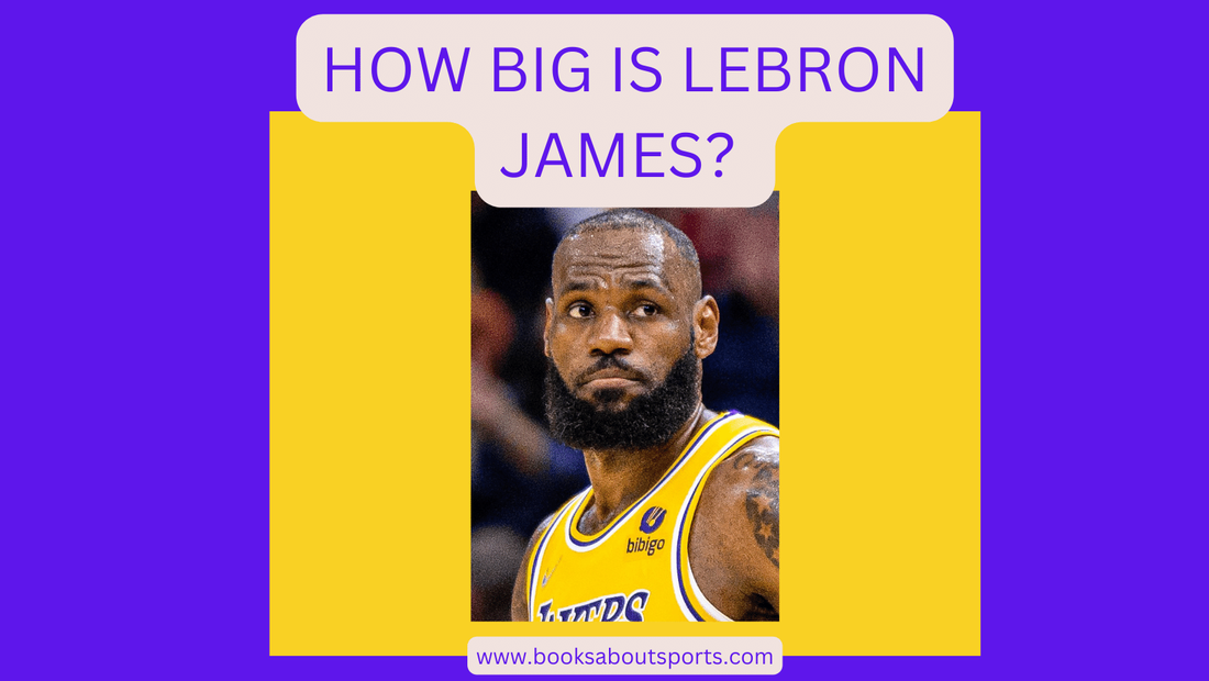 How big is LeBron James?